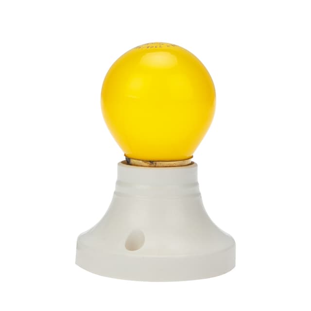 product-image-2