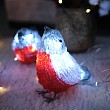 Акриловая светодиодная фигура Семья снегирей 16х9х13 см, 40 LED, IP20, 3хАА NEON-NIGHT