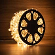 Гирлянда LED Клип-лайт 12 V, прозрачный ПВХ, 150 мм, цвет диодов теплый белый
